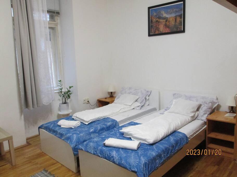 Lavender Apartment Near Heroes' Square & Puskas Stadium Budapest Eksteriør billede